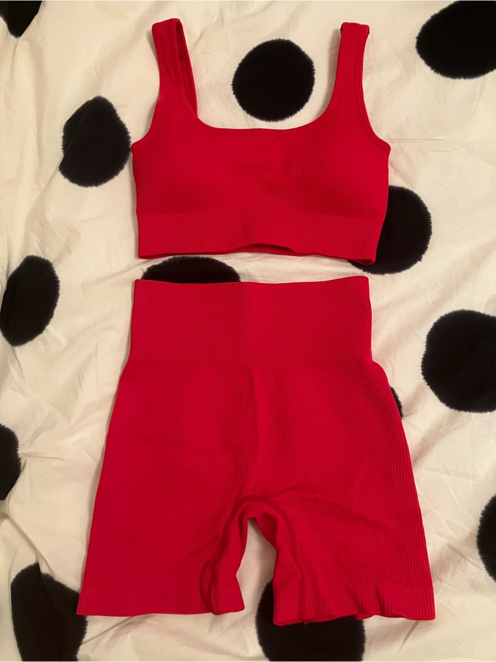 Seamless Ribbed Red Workout Set
